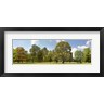 Pangea Images - Trees in a Park (R1054780-AEAEAGOFDM)
