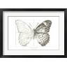 Kelsey Wilson - Butterfly Sketch landscape II (R1056201-AEAEAGOFDM)