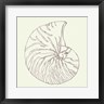 Anne Tavoletti - Coastal Breeze Shell Sketches VII Silver (R1056230-AEAEAGOFDM)