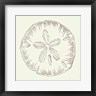 Anne Tavoletti - Coastal Breeze Shell Sketches IV Silver (R1056233-AEAEAGOFDM)