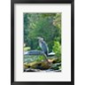 Orah Moore - Heron on Lake George (R1057316-AEAEAGOFLM)
