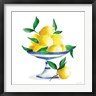 Mercedes Lopez Charro - Spanish Lemons II (R1061378-AEAEAGOFDM)