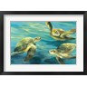 Julia Purinton - Sea Turtles (R1061462-AEAEAGOFDM)