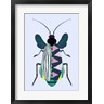 Ayse - Beetle (R1061642-AEAEAGOFDM)