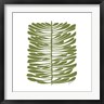 Trish Sierer - Hawaiian Pine (R1062141-AEAEAGOFDM)