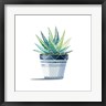 Elizabeth Tyndall - Aloe Plant (R1063344-AEAEAGOFDM)
