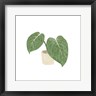 Bannarot - Philodendron Gloriosum III (R1063807-AEAEAGOFDM)