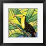 Nick Biscardi - Tropical Bird II (R1064391-AEAEAGOEDM)