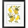 House Fenway - Citrus Lemon Botanical (R1065934-AEAEAGOFDM)