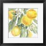 Beth Grove - Citrus Charm Lemons II (R1066088-AEAEAGOEDM)