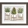 Cindy Jacobs - Succulent Trio on Stands (R1067062-AEAEAGJFFM)