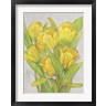 Timothy O'Toole - Yellow Tulips I (R1069436-AEAEAGOFDM)