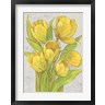 Timothy O'Toole - Yellow Tulips II (R1069437-AEAEAGOFDM)