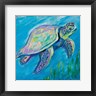 Jeanette Vertentes - Sea Turtle Swim (R1069821-AEAEAGOFDM)