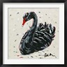 Jodi Augustine - Black Swan (R1070115-AEAEAGOFDM)