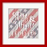 Lux + Me Designs - Stars and Stripes Forever I (R1070763-AEAEAGNEFY)