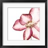 Patricia Pinto - Rouge Plum Flowers I (R1072279-AEAEAGOFDM)