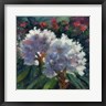 Anne Farrall Doyle - Rhododendron Portrait I (R1073040-AEAEAGOFDM)