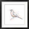 Ethan Harper - Robin Bird Sketch II (R1073350-AEAEAGOFDM)