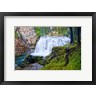 Michael Broom - South Fork Falls (R1074604-AEAEAGOFDM)
