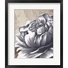 Dogwood Portfolio - Charming Floral II (R1074876-AEAEAGOFDM)