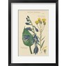 Wild Apple Portfolio - Botanical Print I (R1075348-AEAEAGOFDM)