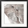 Annie Warren - Elephant Grooves II (R1077950-AEAEAGOFDM)