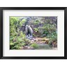 Pangea Images - Rainforest waterfall (detail) (R1078063-AEAEAGOFDM)