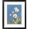 Danhui Nai - White Daisies (R1079366-AEAEAGOFDM)