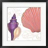 James Wiens - Shimmering Shells I (R1079540-AEAEAGOFDM)