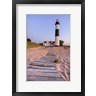 Adam Romanowicz - Big Sable Point Lighthouse (R1079954-AEAEAGOFDM)