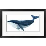 Jeannine Saylor - Humpback Whale - Blue (R1079963-AEAEAGOFDM)