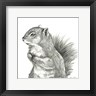 Kelsey Wilson - Watercolor Pencil Forest IV-Squirrel (R1080463-AEAEAGOEDM)