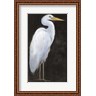 Timothy O'Toole - White Heron Portrait I (R1082917-AEAEAGMFEM)