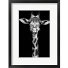 Incado - Giraffe (R1083670-AEAEAGOFDM)