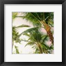 Bill Carson Photography - Bright Oahu Palms I (R1083746-AEAEAGOEDM)