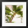 Bill Carson Photography - Bright Oahu Palms II (R1083747-AEAEAGOEDM)