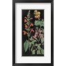 Wild Apple Portfolio - Salvia Florals I on Black (R1084775-AEAEAGOFDM)