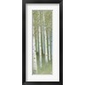James Wiens - Green Forest I (R1087566-AEAEAGOFDM)