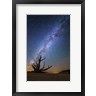 Royce Bair - Bristlecone Milky Way Bryce (R1088356-AEAEAGOFDM)
