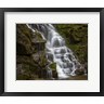 Andy Crawford Photography - Eastatoe Falls Stairway (R1088625-AEAEAGOFDM)