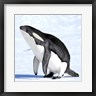 Pixelmated Animals - Orcaguin (R1088697-AEAEAGOFDM)