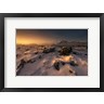 David Martin Castan - Snowy Landscape (R1089915-AEAEAGOFDM)