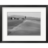 Pangea Images - Val d'Orcia, Siena, Tuscany (BW) (R1090069-AEAEAGOFDM)
