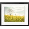 Aledanda - Yellow Meadow (R1090167-AEAEAGOFDM)