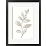 Danhui Nai - Gray Sage Leaves I on White (R1090329-AEAEAGOFDM)