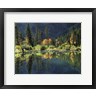 Christopher Talbot Frank / DanitaDelimont - Autumn Colors Of Aspen Trees Reflecting In A Beaver Pond (R1090827-AEAEAGOFDM)