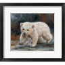 David Stribbling - Polar Bear (R1091743-AEAEAGOFDM)