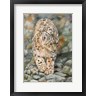 David Stribbling - Snow Leopard Stroll (R1091764-AEAEAGOFDM)