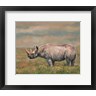 David Stribbling - Black Rhino (R1091822-AEAEAGOFDM)